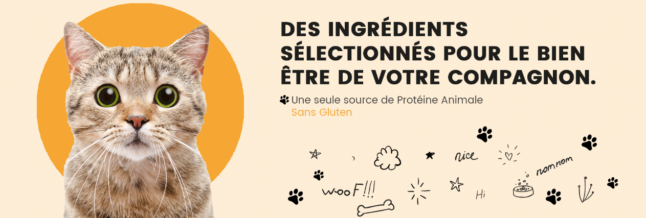 slider-croquettes-chats