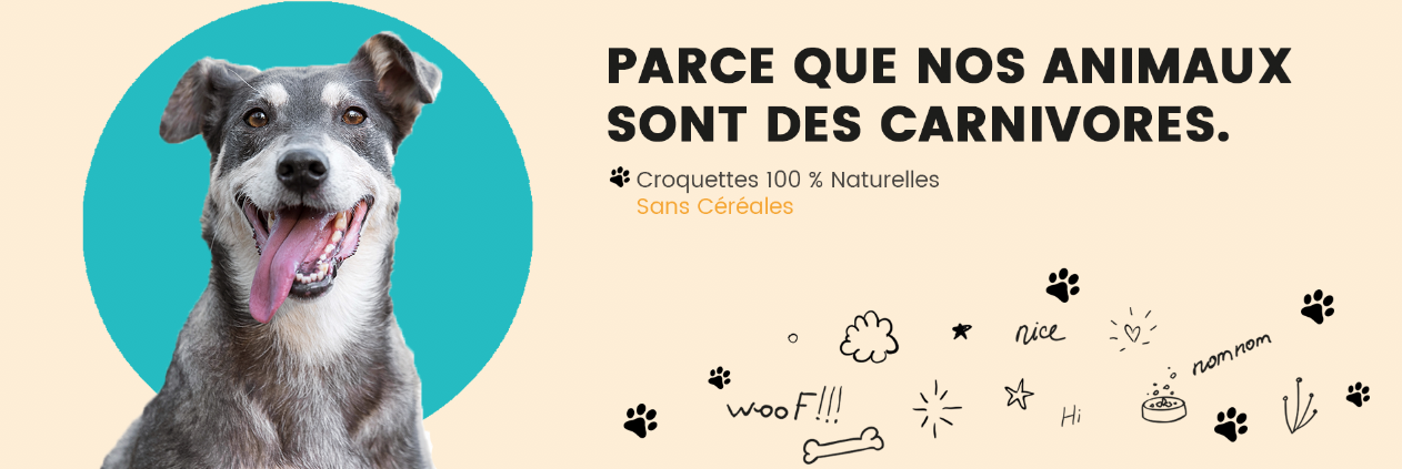 slider-croquettes-chiens